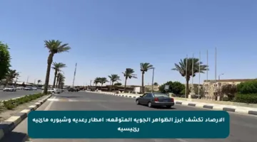 الأرصاد تكشف أبرز الظواهر الجوية المتوقعة: أمطار رعدية وشبورة مائية رئيسية